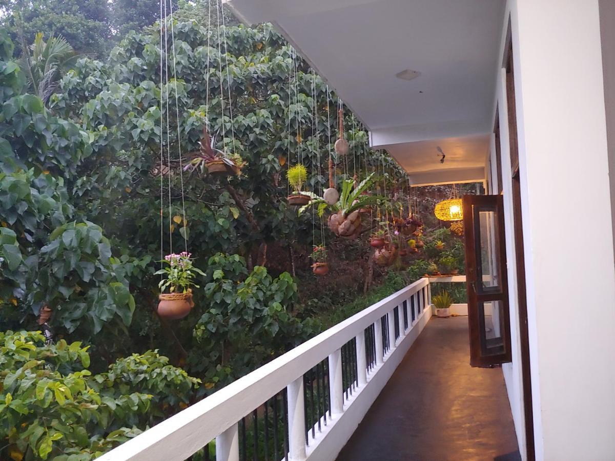 Hotel Daasa Guest Mirissa Exteriér fotografie