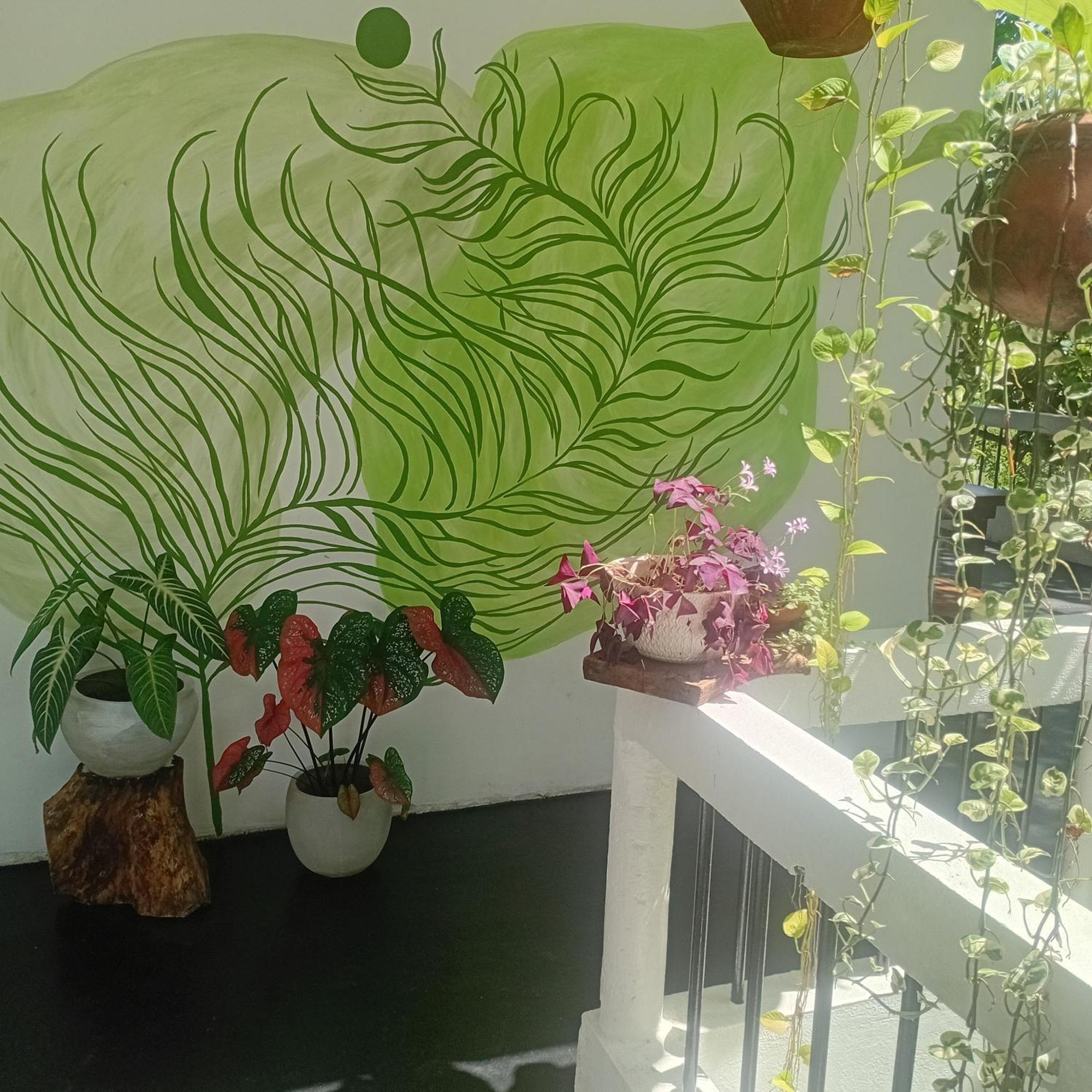 Hotel Daasa Guest Mirissa Pokoj fotografie